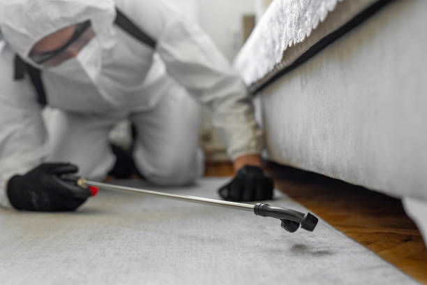Professional Termite Control technician working in Wainaku, HI