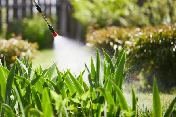24/7 Emergency Termite Control experts in Wainaku, HI