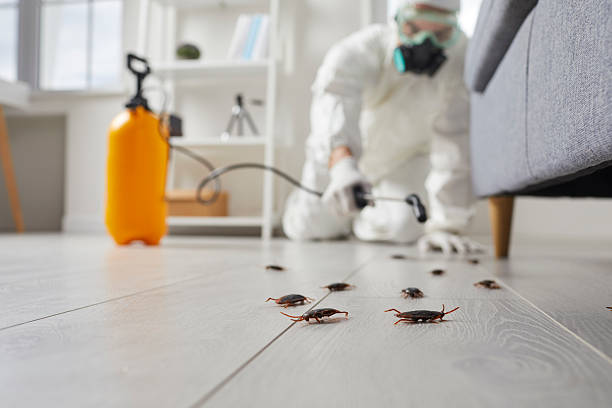 Trusted Fumigation Services service in Wainaku, HI - Nex Pest Control