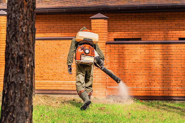 Trusted Rodent Control service in Wainaku, HI - Nex Pest Control